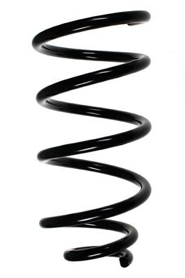 SPIDAN 49278: Arc spiral punte fata