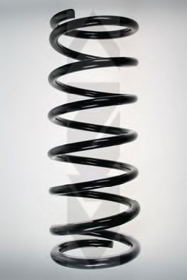 SPIDAN 49434: Arc spiral puntea spate