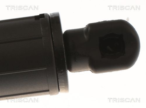 TRISCAN 8120 25126: Disco de freno Ø: 238mm, macizo, Ø: 238mm