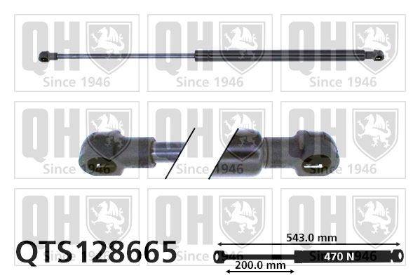 QUINTON HAZELL QTS128665 Heckklappendämpfer 543mm