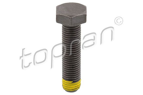TOPRAN 502 756: Schwungradschraube