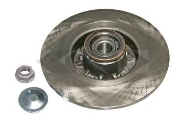 SPIDAN 72160: Disco de freno Eje trasero, izquierda, derecha, Ø: 274mm, Ø: 274mm, con cojinete rueda incorporado, con anillo sensor magnético incorporado