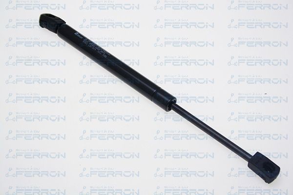 FERRON 1613: Αμορτ. αερίου, χώρος αποσκ. / φόρτωσης 312mm
