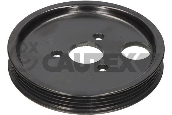 CAUTEX 770176: Riemenscheibe, Servopumpe