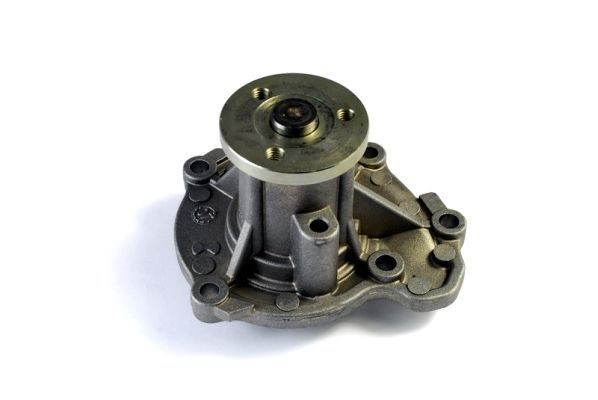 THERMOTEC D11071TT: Bomba de água sem junta