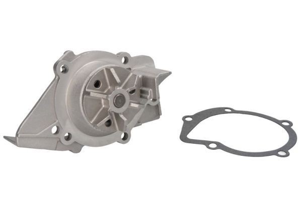 THERMOTEC D1P021TT: Bomba de água N.º dentes: 20, com junta