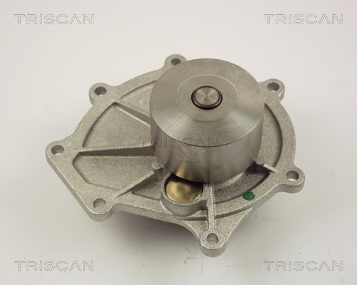 TRISCAN 8600 17009: Bomba de água