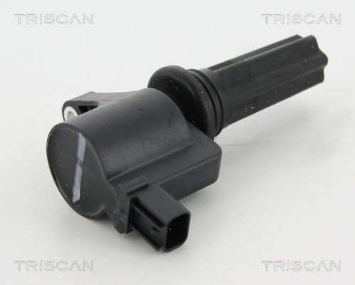 TRISCAN 8860 10029: Süütepool