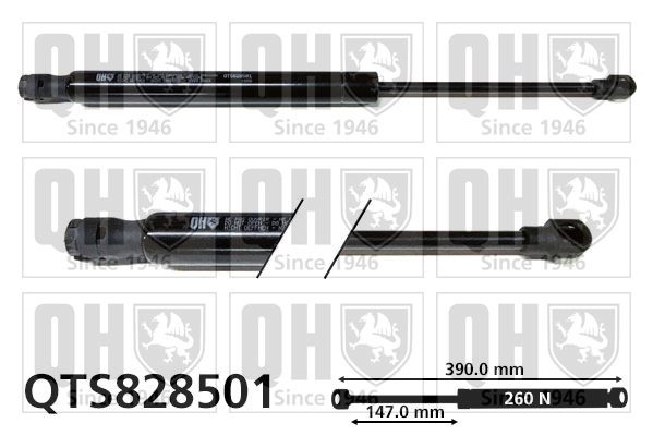 QUINTON HAZELL QTS828501: Vérin de coffre 390mm