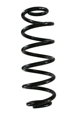 SPIDAN 88342: Arc spiral puntea spate