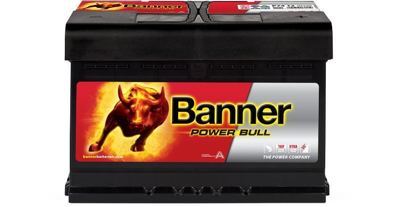 BANNER 013574120101: Batterie Power Bull