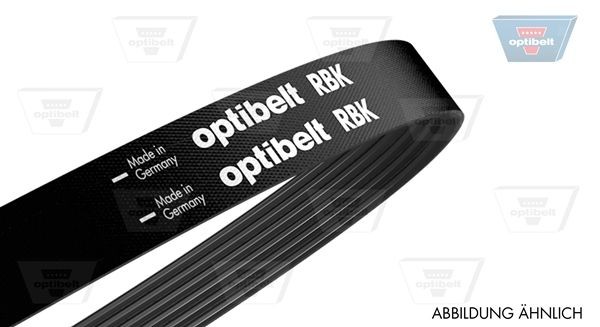 OPTIBELT 6 PK 1555: Curea transmisie cu caneluri 1555mm, Numar nervuri: 6, CST11