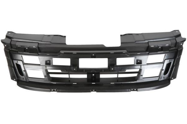 BLIC 5601-00-3053995P: Radiator grill zwart