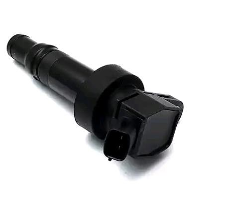 MAPCO 80576: Bobina de encendido 12V, 2polos