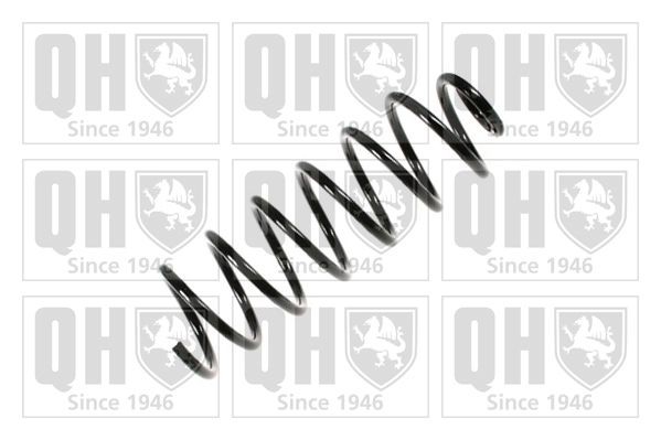 QUINTON HAZELL QCS6628: Chassisveer Achteras