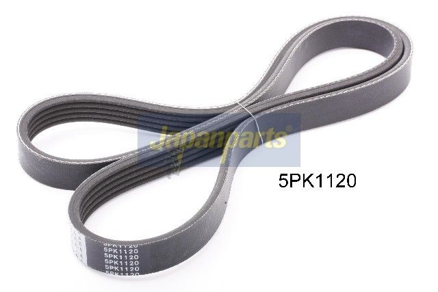 JAPANPARTS DV-5PK1120: Curea transmisie cu caneluri 1120mm, Numar nervuri: 5