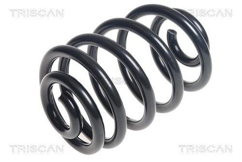 TRISCAN 8750 11166: Chassisveer Achteras