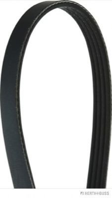 HERTH+BUSS JAKOPARTS J1040650: Cinghia servizi 650mm, N° di nervature: 4