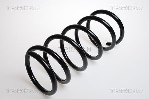 TRISCAN 8750 1538: Chassisveer Vooras