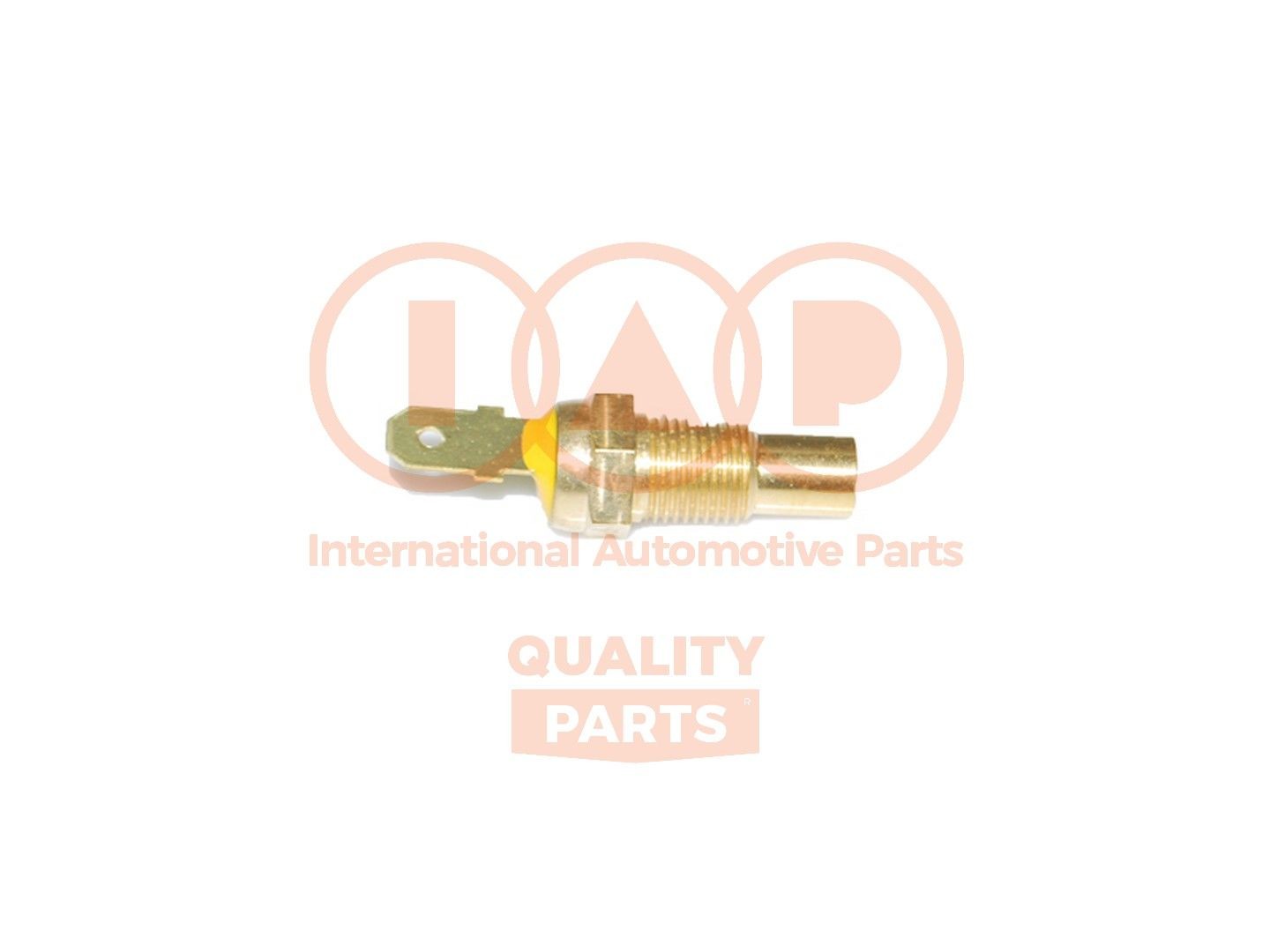 IAP QUALITY PARTS 841-16050: Senzor, temperatura lichid de racire 1/8 GAS