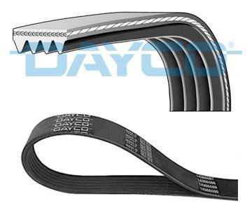 DAYCO 4PK545: Curea transmisie cu caneluri 545,0mm, Numar nervuri: 4