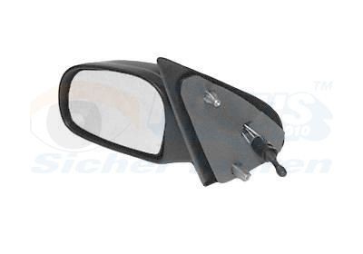VAN WEZEL 0950803: Specchietto retrovisore esterno * HAGUS * Sx