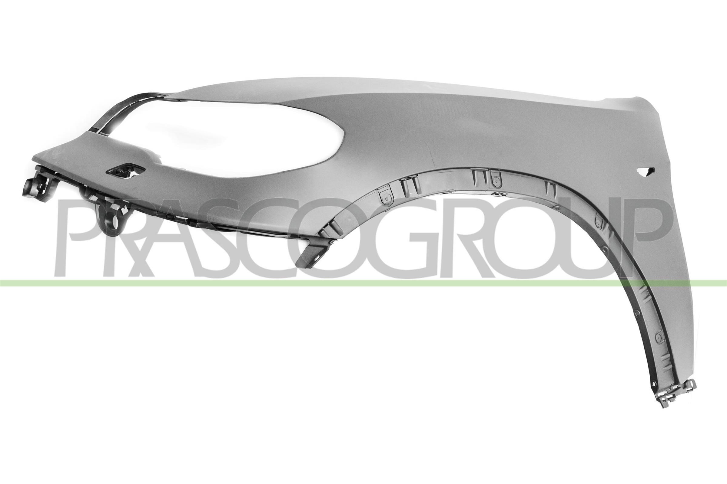 PRASCO BM8243014: Parafango anteriore Sx