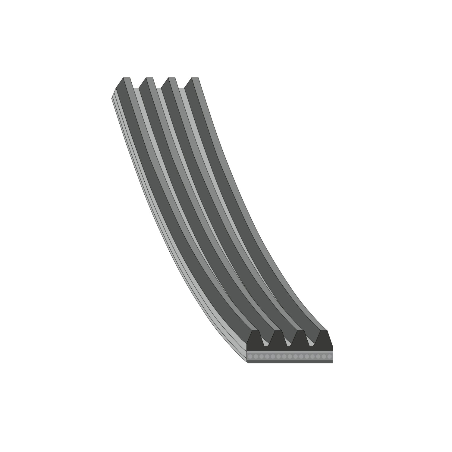 FEBI BILSTEIN 28778: Cinghia servizi 813mm, N° di nervature: 4