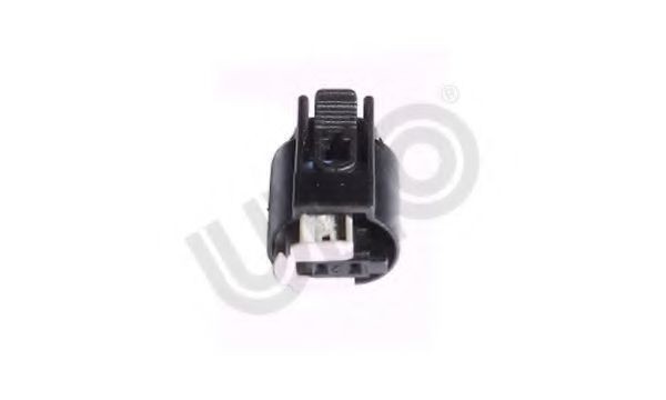 ULO 1010926: Cappuccio / Spina