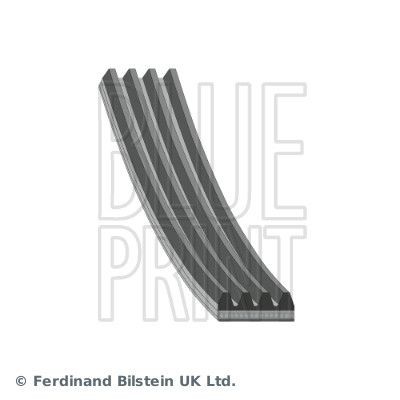 BLUE PRINT AD04R830: Cinghia servizi 830mm, N° di nervature: 4
