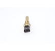 Comprar Sensor da Temperatura do Líquido de Refrigeração BOSCH 0 280 130 014