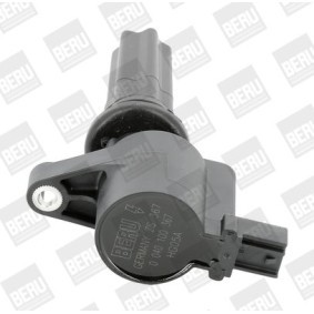 pedido ZS367 Bobina de ignição BERU online