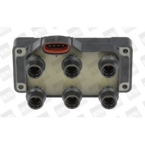 pedido ZS371 Bobina de ignição BERU online