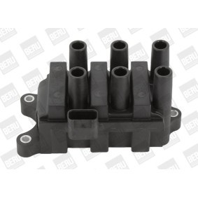 pedido ZS372 Bobina de ignição BERU online