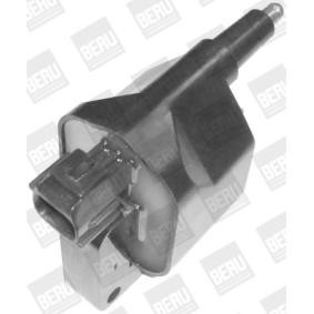 pedido ZS396 Bobina de ignição BERU online