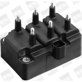pedido ZS404 Bobina de ignição BERU online