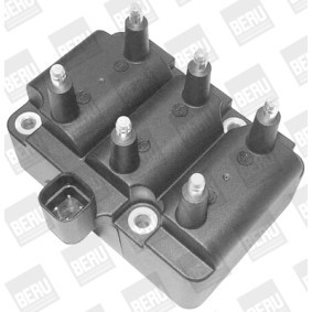 pedido ZS406 Bobina de ignição BERU online