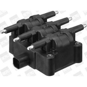 pedido ZS407 Bobina de ignição BERU online