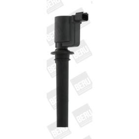 pedido ZS410 Bobina de ignição BERU online