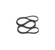 Comprar Correia Trapezoidal Estriada BOSCH 1 987 948 364