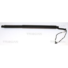 Disco de travão 8120 13191 (Número de furos: 5 | Espessura mínima [mm]: 24) compre barato