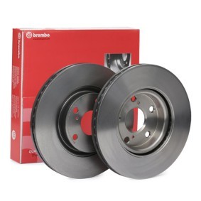 Disco de travão 09.9817.31 (Superfície: revestido | Binário de aperto [Nm]: 103) compre barato