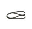 Comprar Correia Trapezoidal Estriada BOSCH 1 987 946 244