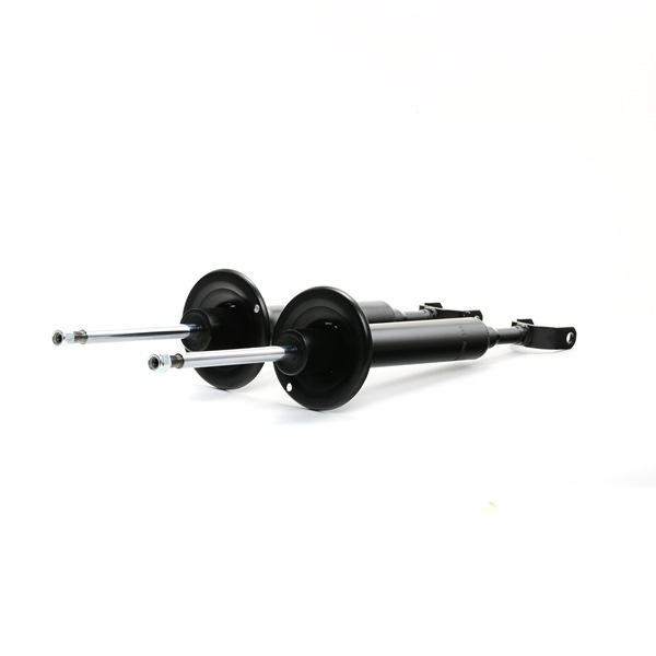 pedido 854S2305 Amortecedor RIDEX online