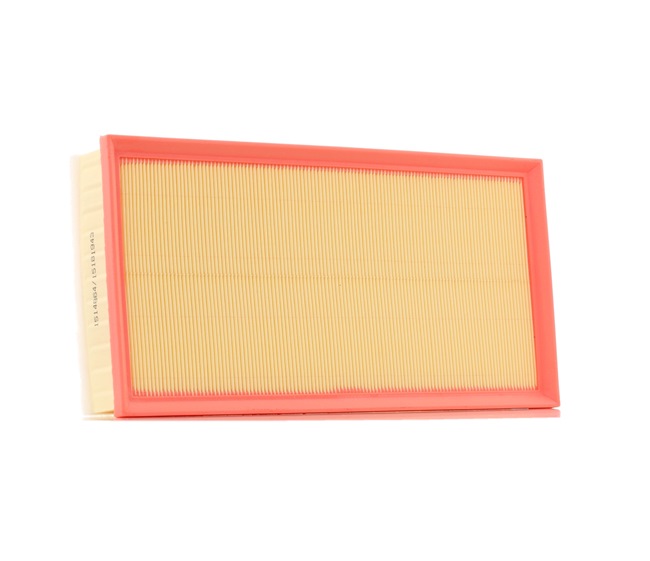 pedido 8A0998 Filtro de ar RIDEX online
