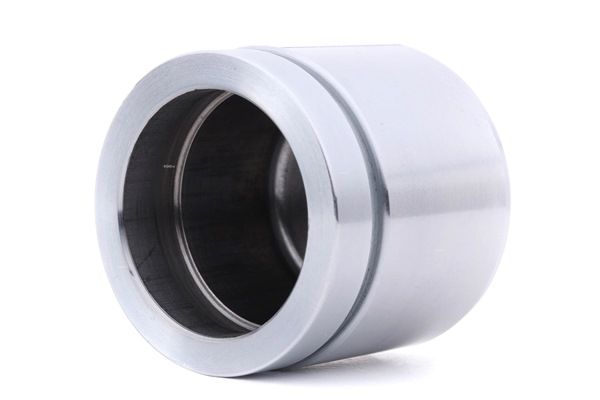 Compre TRISCAN Êmbolo, pinça do travão 2248P0023 a um preço barato