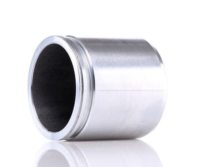 Compre TRISCAN Êmbolo, pinça do travão 2248P0024 a um preço barato