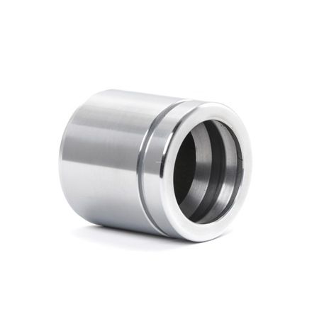 Compre TRISCAN Êmbolo, pinça do travão 2248P0025 a um preço barato