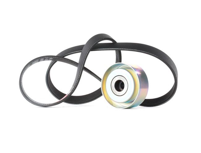 Jeu de courroies trapézoïdales à nervures 788421139, T36361, 6PK1090SF Acheter Jeu de courroies trapézoïdales à nervures 788421139, T36361, 6PK1090SF (Code moteur: DV6ATED4 | Nº d'organisation à partir de: 10678) pas cher